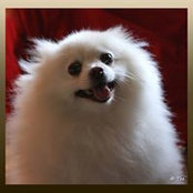 Elaine Alito's photo