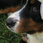 Connie Hamelin's photo