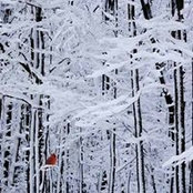 Jackie Huth's photo