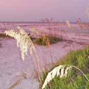 Deb Garcia's photo
