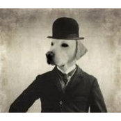 Theophilus von Dorian IIIs foto
