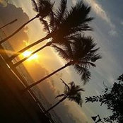 Geno Barone's photo