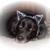 Melissa Mudrick's photo