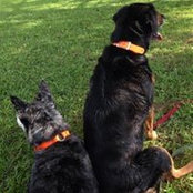 Cindy Talbot's photo