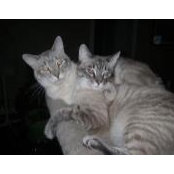 Foto de Praline McCormack