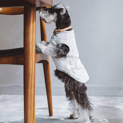 シック＆シンプルな犬用品 - ペット用品
