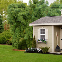 Barn/shed ideas