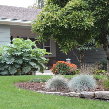 Marcia's front garden