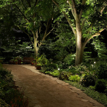 Landscape Lighting