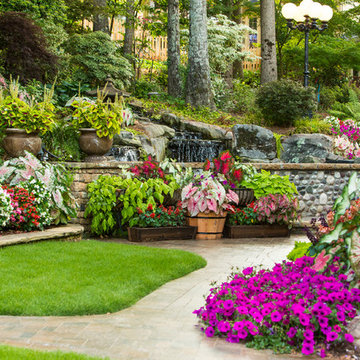 Mark's Backyard
