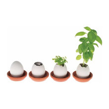 Gardening