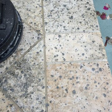 Coral Stone