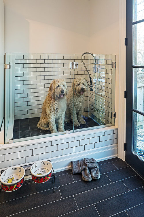 Dog Shower Glass Doors