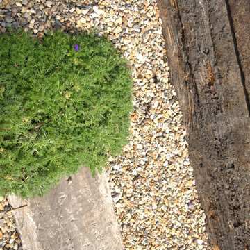 ground cover of chamomile, sunken railway sleeper and pea shingle