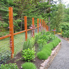 fencing ideas