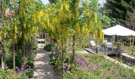 Die 5 Pflanzen-Highlights im Mai