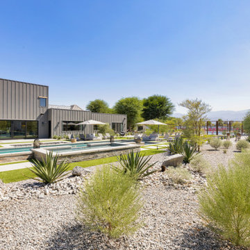 Mesquite 38