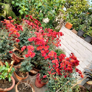 Mediterranean Concept - Home