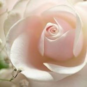 Donna James's photo