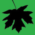 Peterman Lumber's profile photo