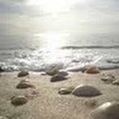 Amanda Osgood's photo