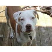 Mary Mackenburg-Mohn's photo