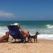 Lis Morshel's photo