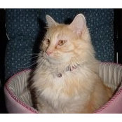 Diane Fleck's photo