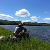 Joe Fusco's photo