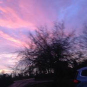 Foto von Sally Brooks