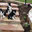 Simpson & Co Landscape Design  Inc.