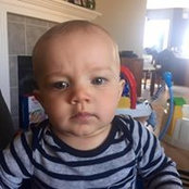 Steve DiIanni's photo