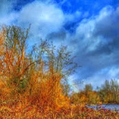 Dan Livingston's photo