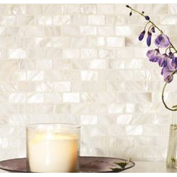 Mother of Pearl Natural Sea Shell Micro Mini Brick Mosaic Tile 3/8" x 3/4" - Products