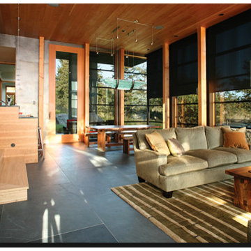 Automated Window Treatments