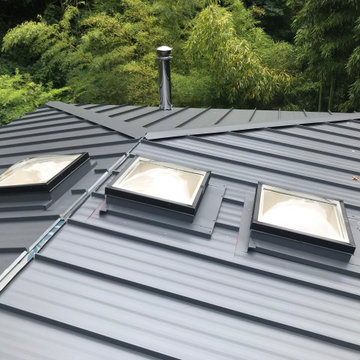 WEST SEATTLE ROOF REFRAME