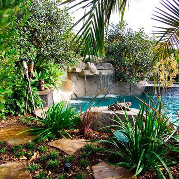 Tropical Swimming Pools