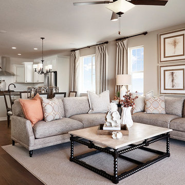 Arlington model home in Colorado