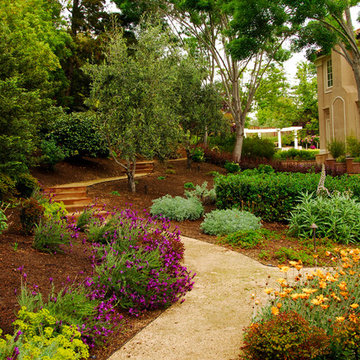Mediterranean Estate Garden