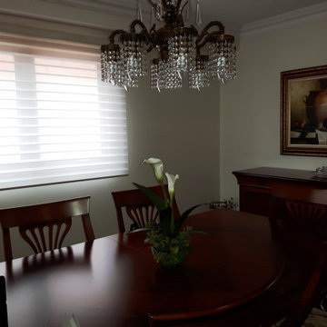 project automated silhouette shades