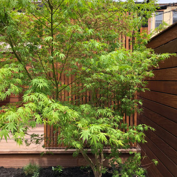 Modern Organic Garden