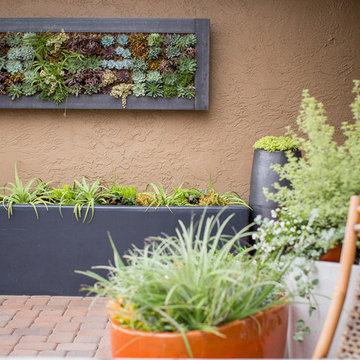 Vertical Garden Design & Ideas