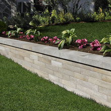 Landscape Ideas