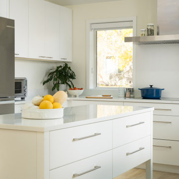1950s Ranch - Whole House Remodel