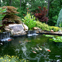 ponds
