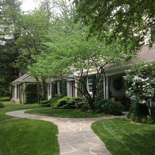 Dream Home