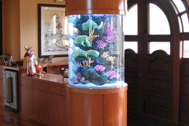 How to Choose the Best Custom Fish Tank Builder in Connecticut