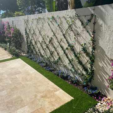After - Espalier, Trained Vines on Wall