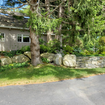 Design around existing trees