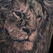 Damon Tatts's photo